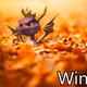 Image for article titled 'Shop Contest: It's Pumpkin Season, Winners!